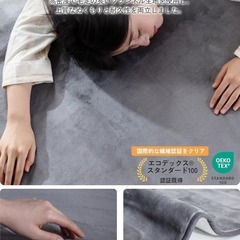 電気毛布❣️敷き 洗える 140×80cm 8段階温度 4段タイマー 速暖 節電の画像