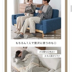 LOWYA ソファー 2人掛け   2.5人掛け ロータイプ 二人掛けソファー フロアソファー カウチソファー カウチソファ 天然木 おしゃれ 脚 取り外し コンパクト 脚取り外し可能 二人掛け 二人 北欧風の画像