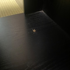 900水槽台❌の画像