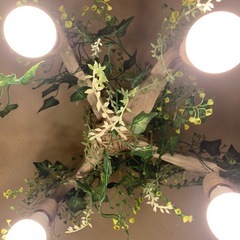 オーダー品　流木インテリアライト　4灯式の画像