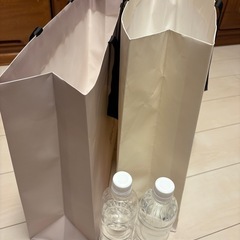 とても大きな紙袋2点での画像