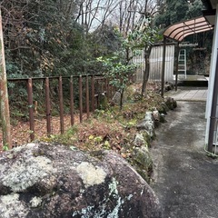 デカい石　岩　造園　日本庭園　の画像