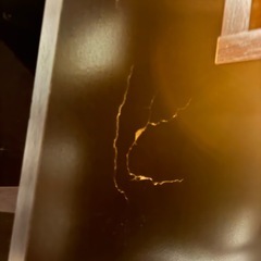 フラップシェルフ　今週末取引で割引の画像