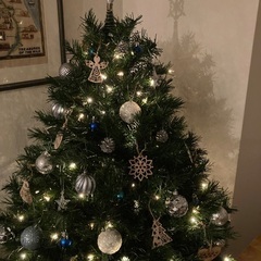 クリスマスツリーの画像