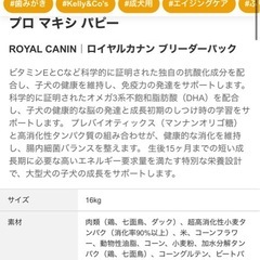 ロイヤルカナン マキシパピーの画像