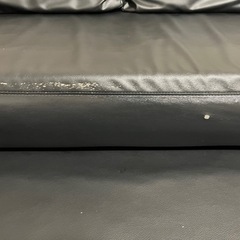 ソファ(ニトリ/ノアーク)の画像