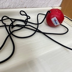 決まりました。12月18日受け渡し予定。
の画像