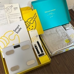 チョコザップ　2023 夏キットの画像