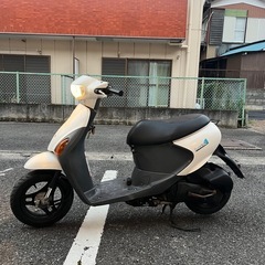 スズキレツ4の画像