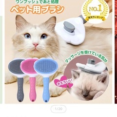 犬猫用ブラシの画像