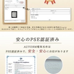 【99％電磁波カット】 ふわとろ毛布 電気毛布 掛け敷き兼用 大判サイズ ダブル の画像