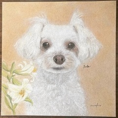 川口市、蕨市、戸田市近辺でアート仲間を募集します。