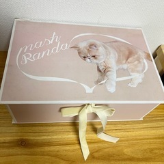 RANDA 猫パンプスの画像