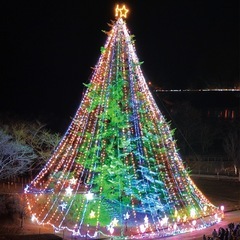 宮ヶ瀬イルミネーション🌲