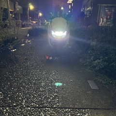 マグザム
の画像