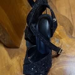 ラメヒールの画像