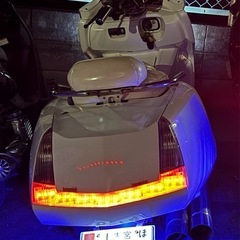 マグザム
の画像