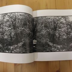 『写真集・横倉山の森』高知県越知町立横倉山自然の森博物館①の画像