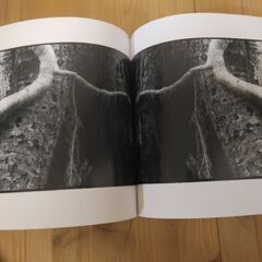 『写真集・横倉山の森』高知県越知町立横倉山自然の森博物館①の画像