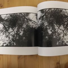 『写真集・横倉山の森』高知県越知町立横倉山自然の森博物館①の画像