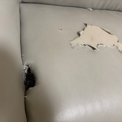 気にならない方へ 2人がけソファ の画像