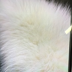 iPhone X 256GB ブラック SIMフリー 国内版 バッテリー100％の画像