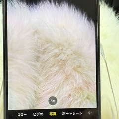 iPhone XS 256GB ゴールド 国内版 SIMフリー 「美品」バッテリー100％の画像
