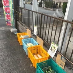 ブロッコリーの画像