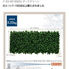 ①山善（YAMAZEN)グリーンフェスの画像