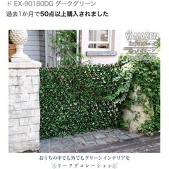 ①山善（YAMAZEN)グリーンフェスの画像