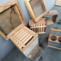 日本蜜蜂の巣箱　フルセット　スズメバチ捕獲網付きの画像