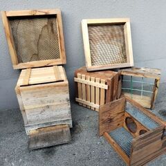 日本蜜蜂の巣箱　フルセット　スズメバチ捕獲網付きの画像