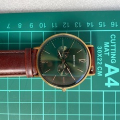ベーリング　BERING チェンジズ　中古 の画像