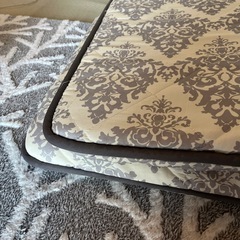 カインズホーム長座布団夏冬カバー付き
の画像