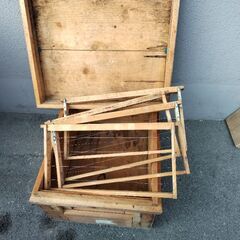 西洋巣箱 ハチ巣箱 蜜蜂 ミツバチ 飼育巣箱 　みつばち飼育用巣箱 厚さ1.0cm 養蜂器具 養蜂用品の画像