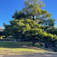 🧹【仮】クリーンアップコミュニティ