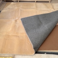 ラグカーペットの画像