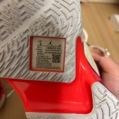 NIKE ジョーダン　バスケットボールシューズ 26cmの画像