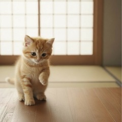 AI動画作成できる方