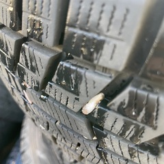 155/65R13 アイスガード60の画像