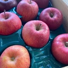 長野県限定【新品種】キルトピンクの画像