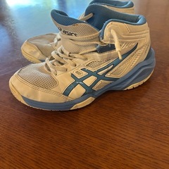 バッシュ　バスケットシューズ　21cm の画像