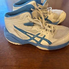 バッシュ　バスケットシューズ　21cm の画像