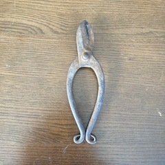 植物用のハサミ