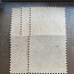 コストコ　ノンスリップハンガー(10本)の画像