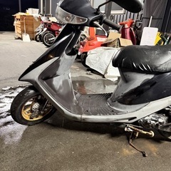 HONDA Dio50  
の画像