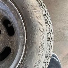 エンケイディッシュ 13インチの画像