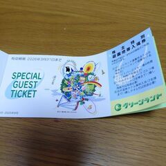 グリーンランドのチケット2枚の画像