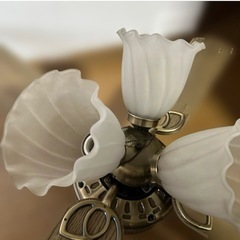 DAIKOインテリアファンの画像