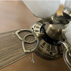 DAIKOインテリアファンの画像